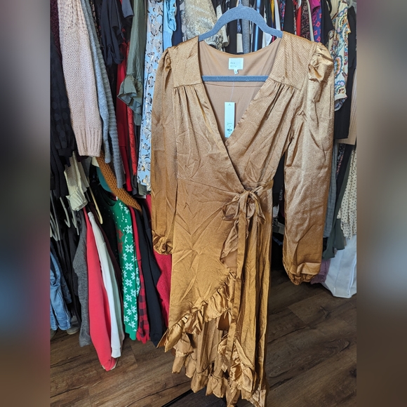 Copper Dress - Picture 4 of 9